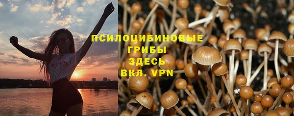 гашик Беломорск