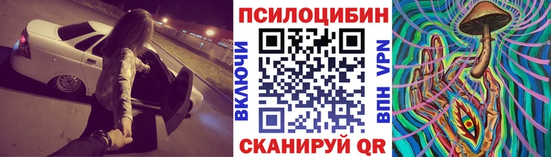 Псилоцибиновые грибы Cubensis  мега как войти  Гороховец  купить наркотики цена 